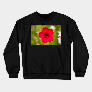 Scarlet Flax Flower Crewneck Sweatshirt